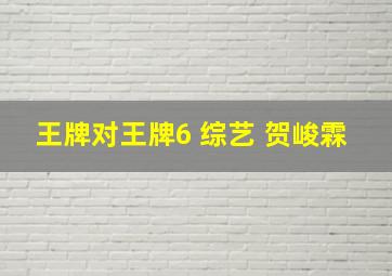 王牌对王牌6 综艺 贺峻霖